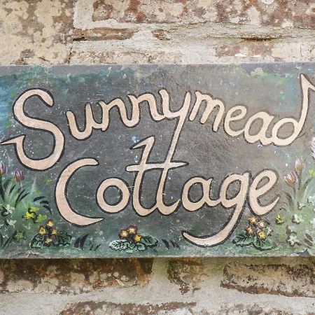 Sunnymead Cottage Halwill Kültér fotó